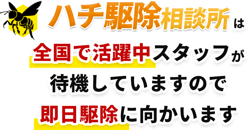 ハチ駆除相談所は全国で活躍中スタッフが待機していますので即日駆除に向かいます