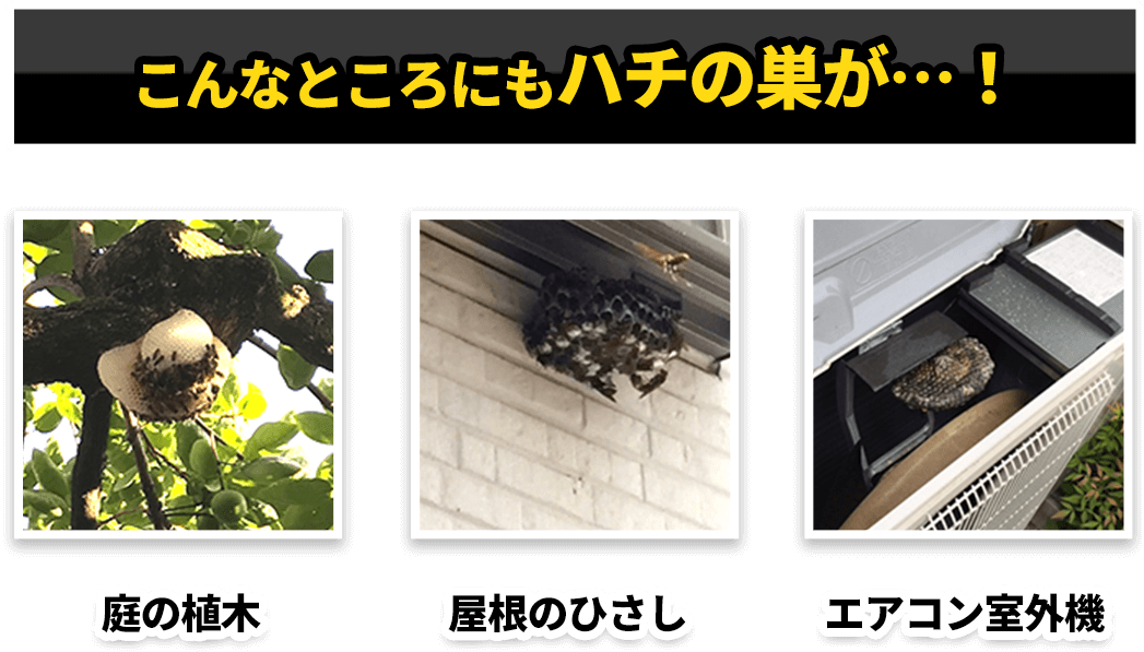 こんなところにもハチの巣が…！庭の植木,屋根のひさし,エアコン室外機