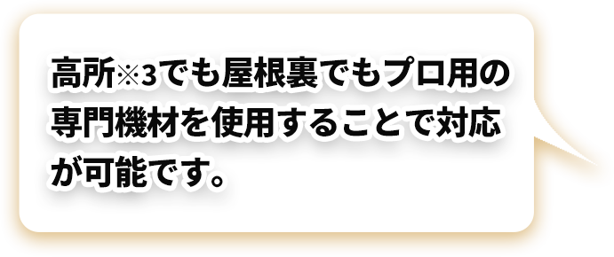 ハシゴがかからない高所など、どんな ハチの巣でも丸ごと駆除できます！