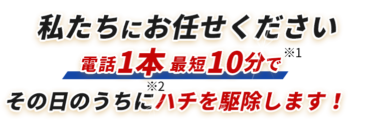 私たちにお任せください,電話1本最短10分でその日のうちにハチを駆除します！