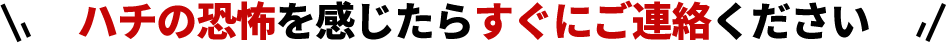 ハチの恐怖を感じたらすぐにご連絡ください