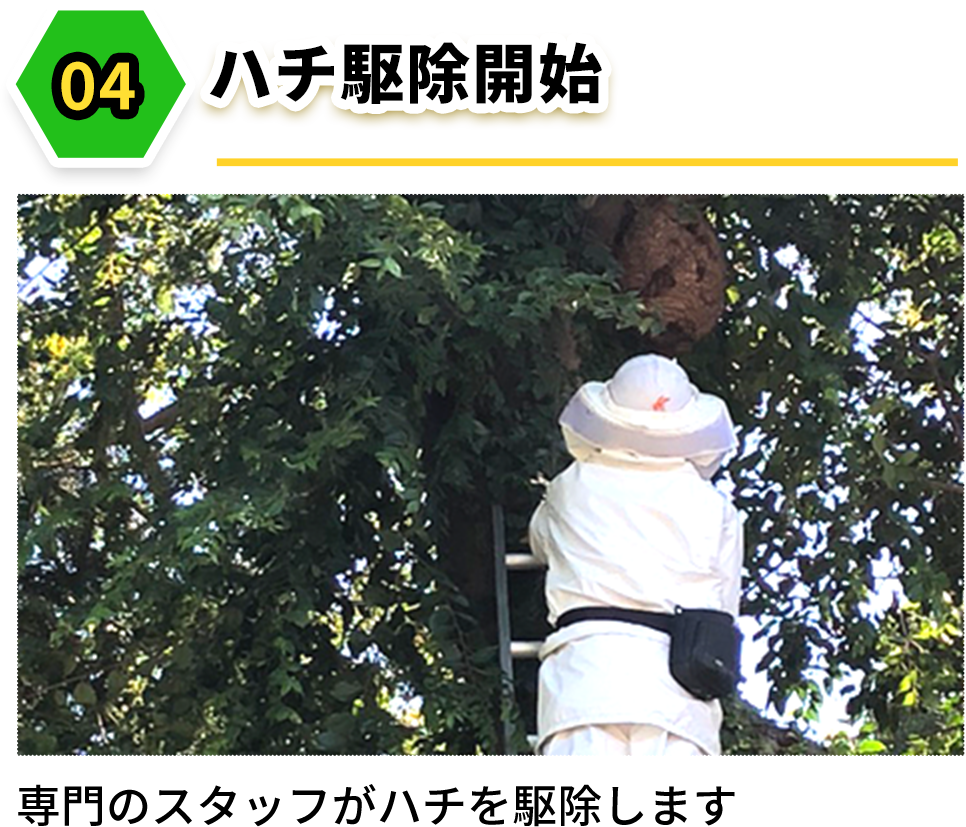 ハチ駆除開始