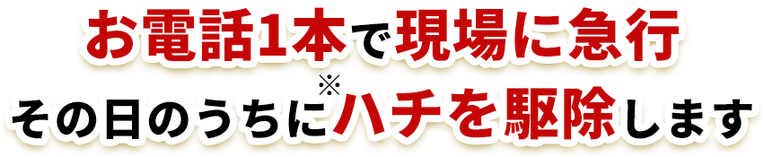 お電話1本で現場に急行その日のうちにハチを駆除します
