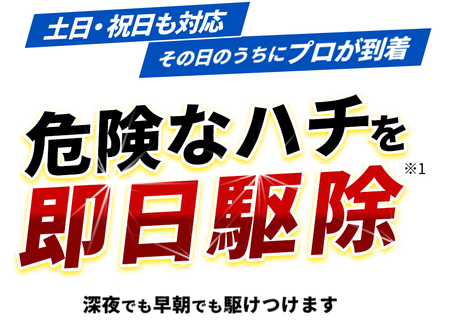 土日・祝日も対応,その日のうちにプロが到着,危険なハチを即日駆除,深夜でも早朝でも駆けつけます