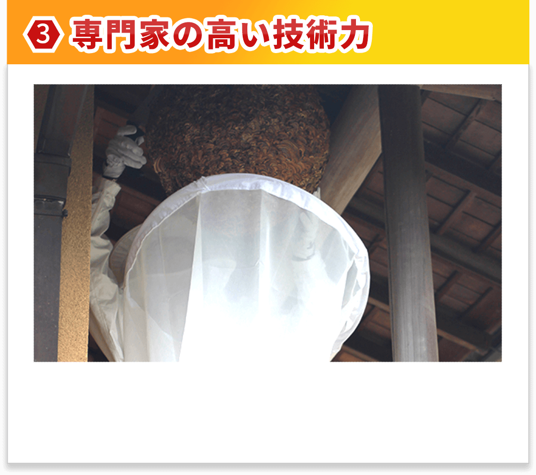 専門家の高い技術力